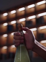 Leila, Uma Rainha da IA - Episode 36