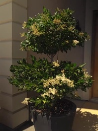 Un coup d'œil, je t'aime - Episode 36