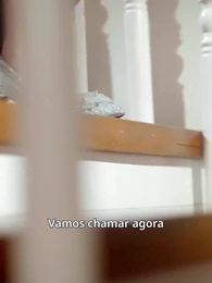 Episódio 1 - Leila, Uma Rainha da IA