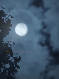 Episodio 46 - La Mujer Milagrosa del CEO