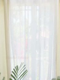 Episodio 12 - La Mujer Milagrosa del CEO