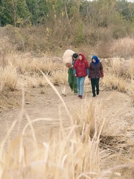 Episode 57 - New Dawn in 1980s