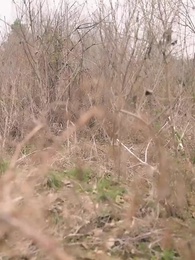 第23集 - 攬月抱遺珠之八零好日子