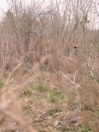 New Dawn in 1980s - Episode 23