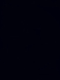 Épisode 1 - Poursuite du papa célibataire