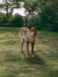 Episodio 30 - Il Legame del Re Licantropo