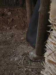 Cinta Yang Terlupakan - Episode 32