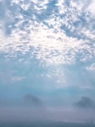 35화 - 해마다 소원 이루길