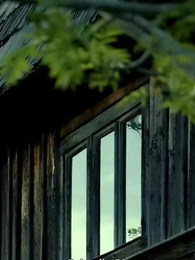 Episodio 50 - Il Legame del Re Licantropo