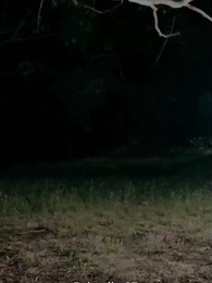 Il Legame del Re Licantropo - Episode 27