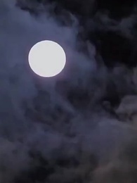 第47集 - 霜隕蘆花淚濕衣