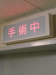 双子の親たち奪い合い狂想曲 - Episode 74