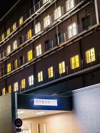 双子の親たち奪い合い狂想曲 - Episode 65