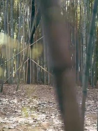 第57集 - 犬父定乾坤