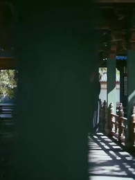 第27集 - 犬父定乾坤