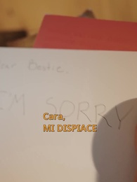 Cotta per la principessa indesiderata - Episode 36