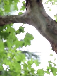 Episode 19 - Get Over You