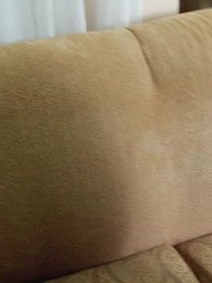 Perseguindo Minha Companheira Indesejada - Episode 29