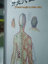 Y Đạo Song Hành - Episode 15