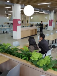Tập 13 - Y Đạo Song Hành