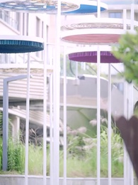 Episode 66 - Revenge with a Little Twist