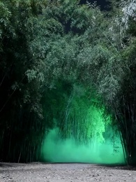 ความลับไม่มีอีกต่อไป - Episode 46