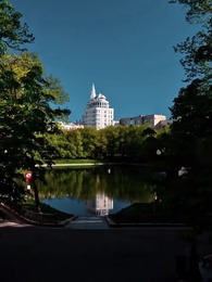 Episodio 71 - Cuore Rubato, Erede Smarrita