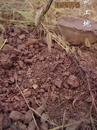 第1話 - 五十歳で再出発する！