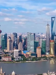 Episode 17 - Tiger Down, Pride Unbroken