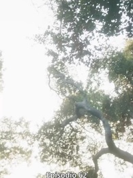 Episodio 62 - Rinata per Vendicarsi - La Luna Tradita Completa