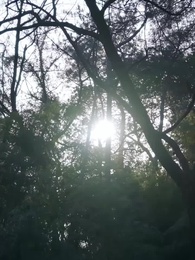 第6集 - 家有悍妻爹爹馬甲藏不住