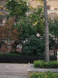 第15集 - 重生之奶奶華章再啟