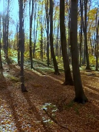 À la poursuite de ma compahne indésirable - Episode 31