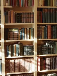 Épisode 38 - À la poursuite de ma compahne indésirable