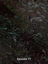 Episode 11 - Misteri Warisan Keluarga