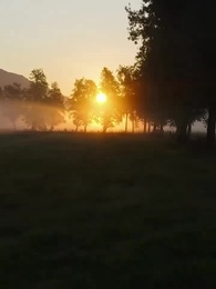 À la poursuite de ma compahne indésirable - Episode 62