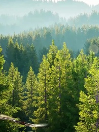 Ayahku Pendekar Terhebat - Episode 1