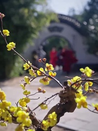 12화 - 봄날의 기억