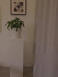 Episodio 35 - La Mia Povera Ex-moglie è l'Erede