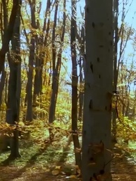 Persiguiendo a Mi Pareja No Deseada - Episode 7