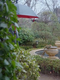 第38集 - 四十而已