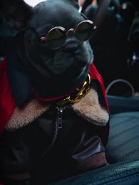 第6集 - 背對眾生,獨釣萬古