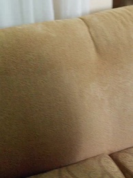 Persiguiendo a Mi Pareja No Deseada - Episode 29