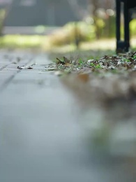 第70集 - 和暗戀對象結婚後夜夜笙歌