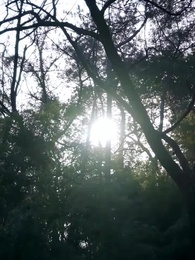 Episode 6 - Tak Bisa Sembunyi Lagi