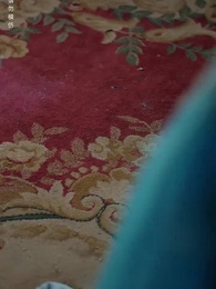 Episode 16 - Scarlet Fruit, Hidden Schemes