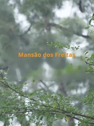 Episódio 8 - Separação, Amor e Bilhões