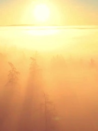 Episodio 33 - Persiguiendo a Mi Pareja No Deseada