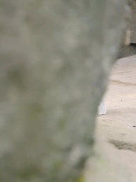 ตอนที่ 28 - นางรองสำนักตื่นรู้แล้ว