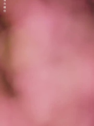 第5集 - 京城的荔枝